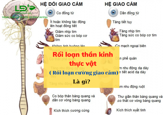 roi-loan-than-kinh-thuc-vat-roi-loan-cuong-giao-cam-la-gi